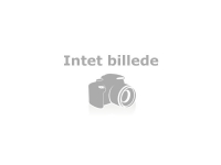Dell - Kit - strömadapter - 65 Watt - Europa - för Chromebook 11 31XX Latitude 31XX, 52XX, 54XX, 55XX, 72XX, 7390, 74XX, E7250, E7470