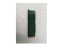 Samsung - SSD - krypterat - 512 GB - inbyggd - M.2 2280 - PCIe 3.0 x4 (NVMe) - TCG Opal Encryption - FRU, (CRU) - Tier 1 - för ThinkPad P50 P51 P71 T460s ThinkStation P320 P520 P520c P720 P920