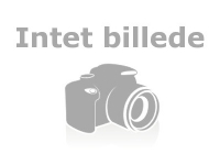Jensen Scandinavia Fast Ethernet Notebook Card (Windows 9x/ME/2000/XP/NT/NetWare/Linux OS. Indbygget RJ-45)