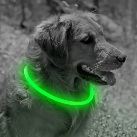 Luxorparts LED-hundhalsband