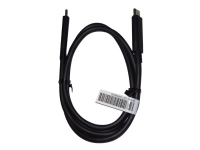 Lenovo - USB-kabel - USB-C hane till USB-C hane - FRU - för P/N: 45N0481