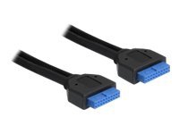 Delock USB 3.0 Pin Header - USB-kabel - 19-stifts USB 3.0-kontakt (hona) till 19-stifts USB 3.0-kontakt (hona) - USB 3.0 - 45 cm - svart
