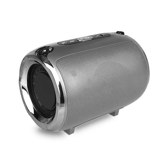 S518 5W Bluetooth Portabel Högtalare - Silver